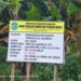 Kecurigaan Masyarakat Terhadap Proyek Rehabilitasi Drainase di Kelurahan Kedondong: E-Purchasing Diduga Boros dan Kualitas Bangunan Dipertanyakan