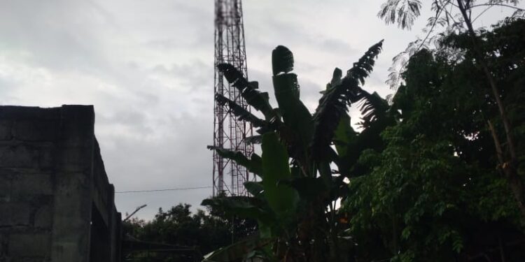 Menghitung Hari akhir kontrak: Sengkarut Hukum dan Izin Lingkungan Tower BTS Balonggading