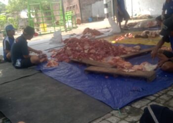Semangat Kurban dari Masjid Al Muhibbin Kota Mojokerto